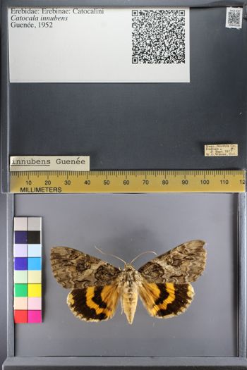 Media type: image;   Entomology 640185